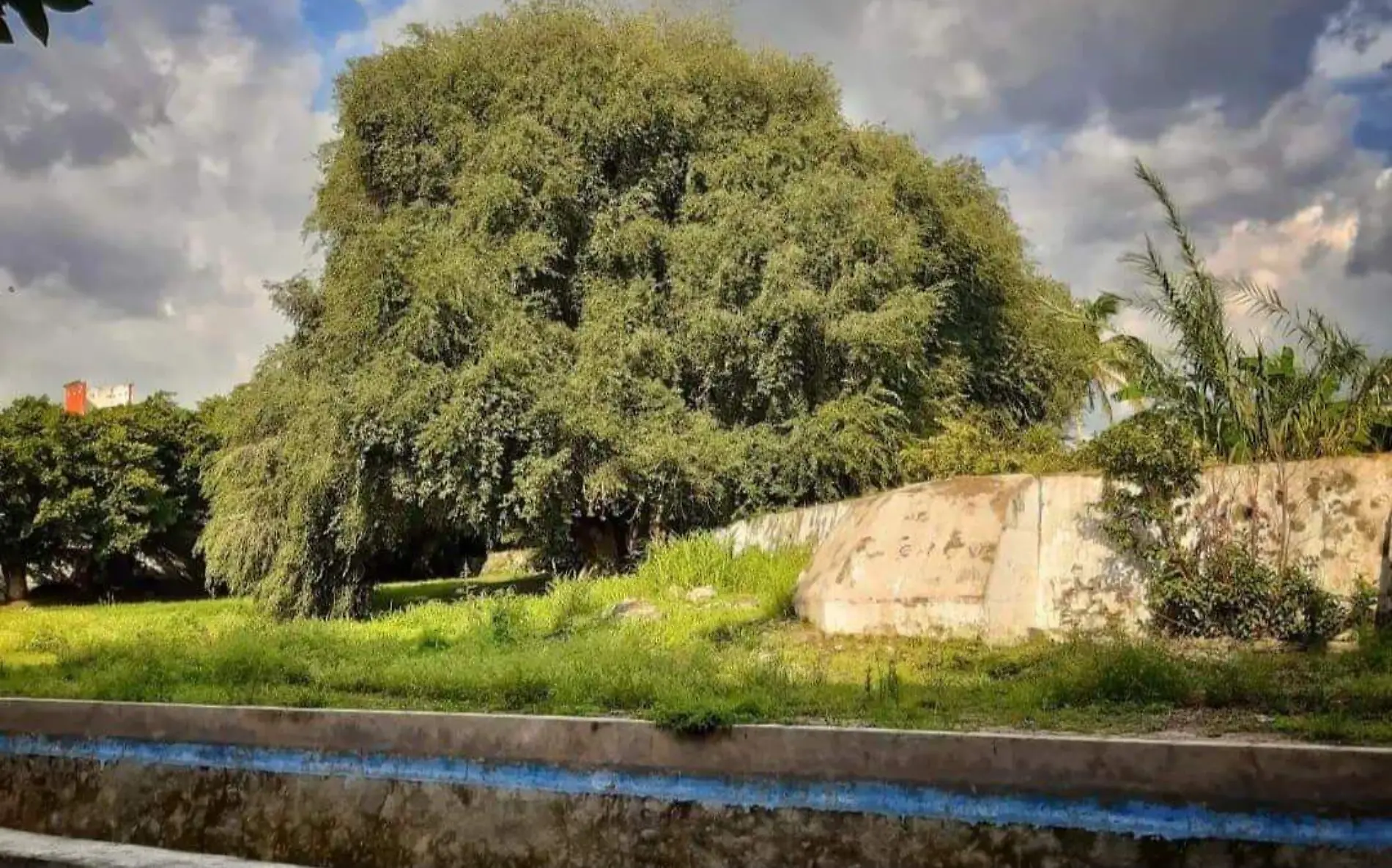 Balneario Las Tazas